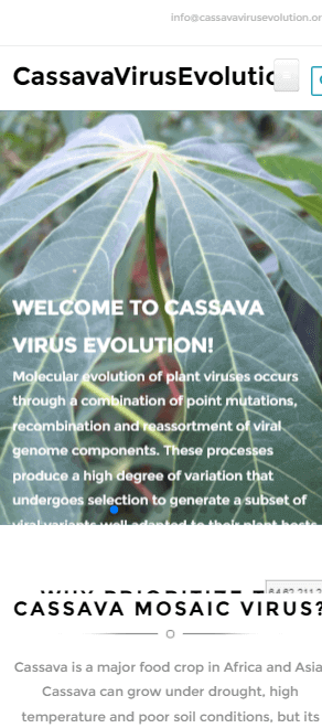 Cassava virus evolution mobile