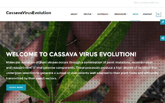 Cassava virus evolution